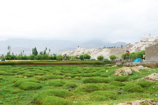 Natural landscape near Shey Palace located at Leh Ladakh, Jammu and Kashmir, India