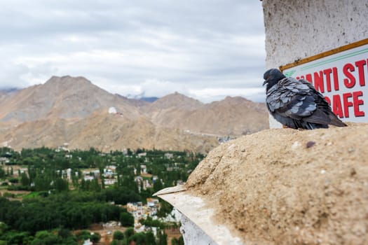 Shanti stupa in Leh Ladakh, Jammu and Kashmir, India