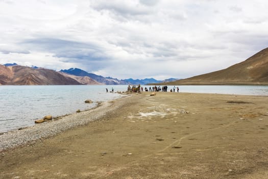 Tourist in Pangong lake in Leh Ladakh, Jammu and Kashmir, India