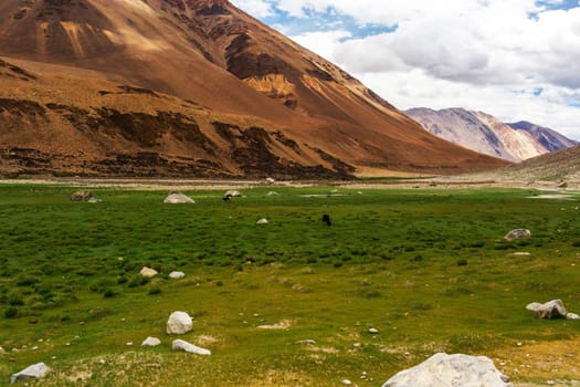 Natural landscape in Leh Ladakh, Jammu and Kashmir, India