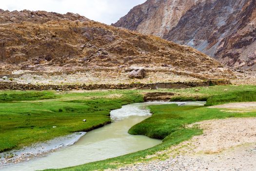 Animals with natural landscape in Leh Ladakh, Jammu and Kashmir, India