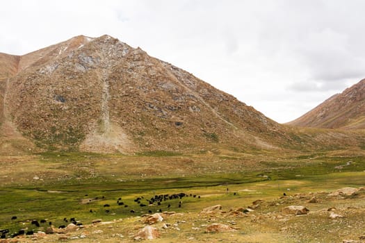 Natural landscape in Leh Ladakh, Jammu and Kashmir, India