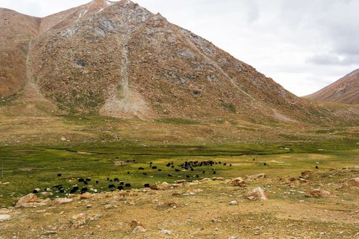 Natural landscape in Leh Ladakh, Jammu and Kashmir, India