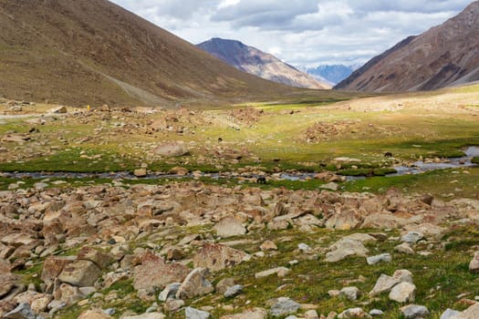 Natural landscape in Leh Ladakh, Jammu and Kashmir, India