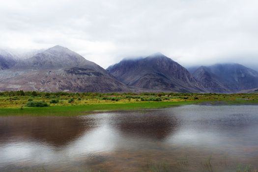Natural landscape in Nubra valley, Leh Ladakh, Jammu and Kashmir, India