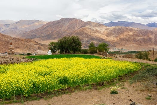 Natural landscape in Leh Ladakh, Jammu and Kashmir, India