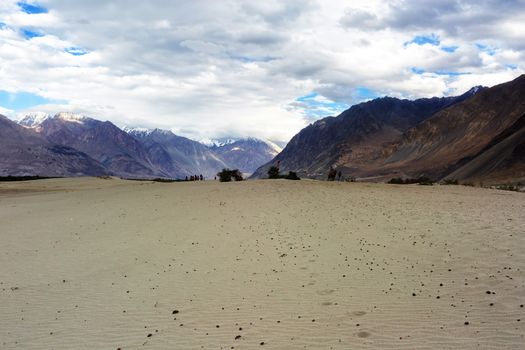 Hunder Sand Dunes of Nubra Valley in Leh Ladakh, Jammu and Kashmir, India