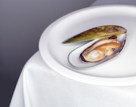 Mussel with white wine sauce on table