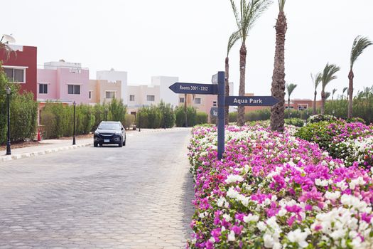 Road with pointer, car, colorful flower bush in Sharm El Sheikh