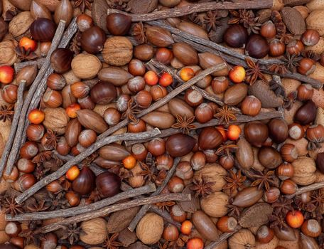 Festive natural background with a mix of chestnuts, almonds, brazil nuts, pecans, hazelnuts, star anise, liquorice root and crab apples 