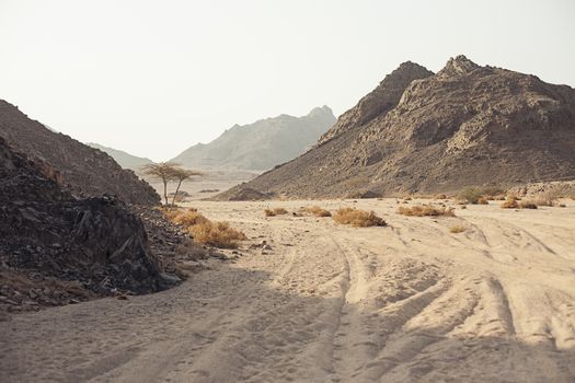 Mountain in desert in Sharm El Sheikh Egypt