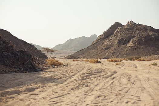 Mountain in desert in Sharm El Sheikh Egypt