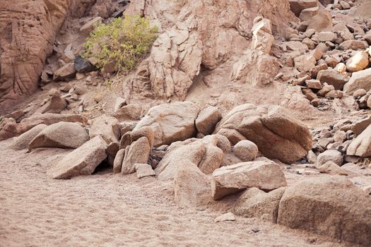 Canyon in Egypt without people yellow stones