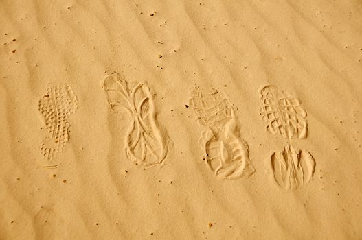 Four shoe footsteps on the sandy surface