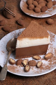 a piece of chocolate with vanilla mousse cake covered  cocoa