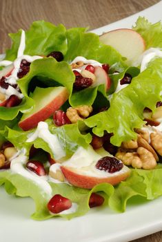 Salad of apples, cranberries , pomegranate, pine nuts and walnuts dressed with yogurt  