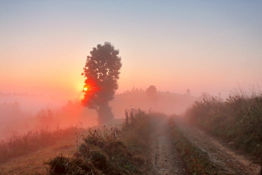 Dirt road at foggy morning. Misty rural hills. Foggy autumn sunrise in mountains.