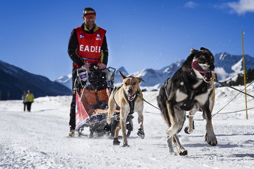 AUSSOIS SUR ARC, VANOISE, FRANCE - JANUARY 20 2016 - the GRANDE ODYSSEE the hardest mushers race in savoie Mont-Blanc, Remy COSTE, french musher, Vanoise, Alps