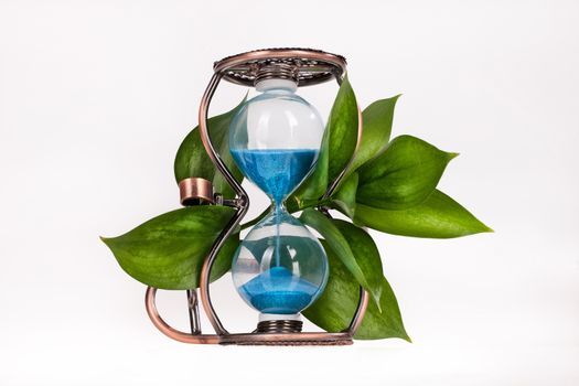 Sandglass with green leaves on isolated background