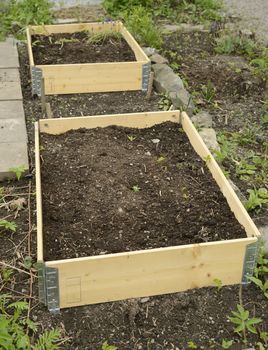 Organic Gardening on the Allotment.