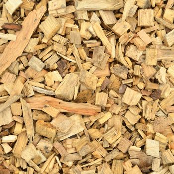 Close up of wood chip.