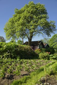 Idyllic red cottage in botanical garden.