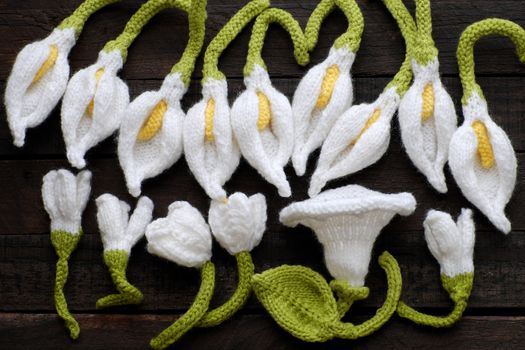 Amazing green background with handmade product, knitted flower as arum lily, tulip, morning glory flower knit from white yarn and green leaf make wonderful background for design