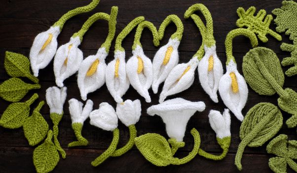 Amazing green background with handmade product, knitted flower as arum lily, tulip, morning glory flower knit from white yarn and green leaf make wonderful background for design