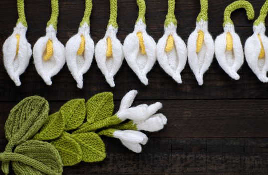 Amazing green background with handmade product, knitted flower as arum lily, tulip, morning glory flower knit from white yarn and green leaf make wonderful background for design