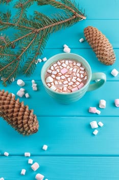 Winter sill life with hot cocoa, marshmallows, pine and cones, top view