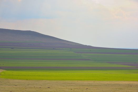 Summer agriculture parcels field