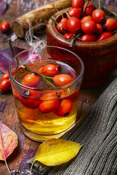 medical tea with ripe berries of the autumn rose