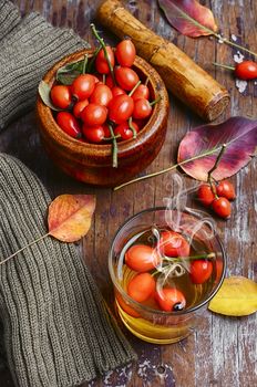 medical tea with ripe berries of the autumn rose