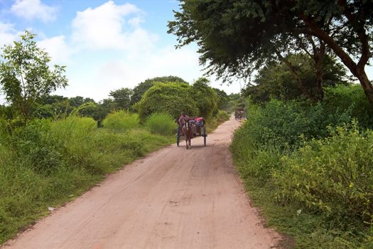 Driving on a horse cart in Bagan Myanmar