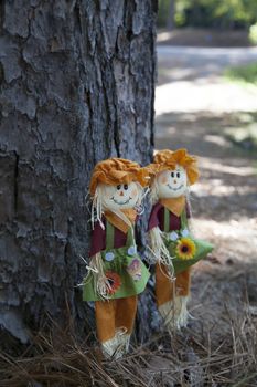 Pair of small scarecrows by a pine tree