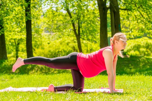 Pregnant woman doing exercises on the body stretching in the park