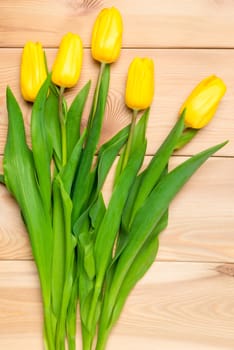 closeup picture of yellow tulips top view