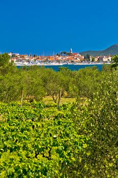 Biograd Na Moru vineyards and olive trees vertical view, Dalmatia, Croatia