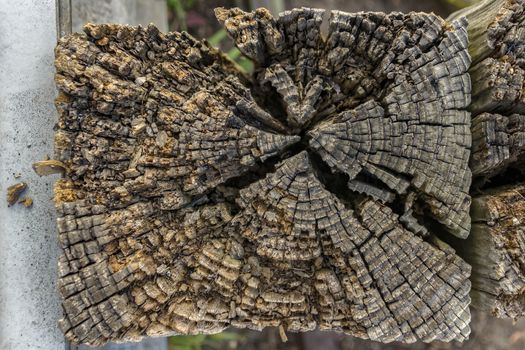 The top of worn, wooden post.