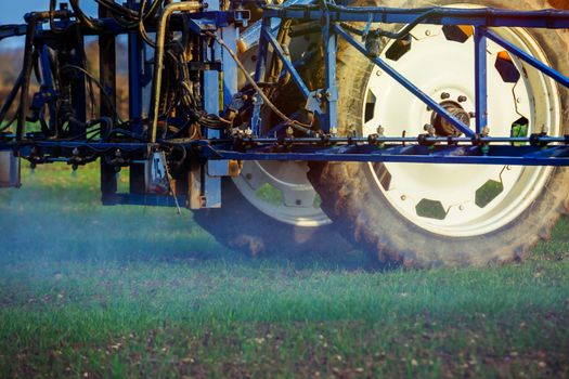 Tractor spraying wheat field with sprayer