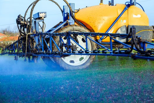 Tractor spraying wheat field with sprayer