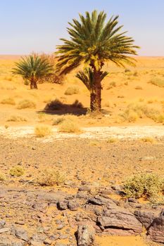 Beautiful Moroccan Mountain landscape in desert with oasis