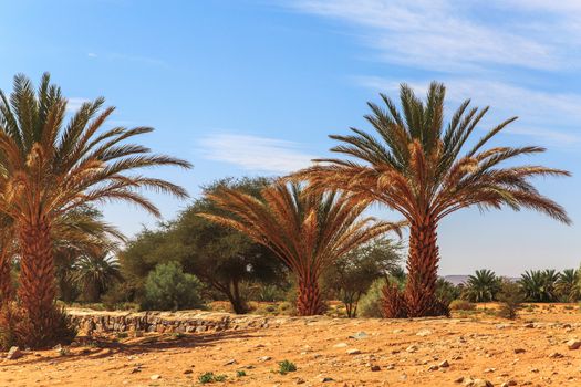 Beautiful Moroccan Mountain landscape in desert with oasis