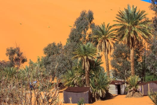 Sand dunes and oasis in the Sahara Desert, Merzouga, Morocco