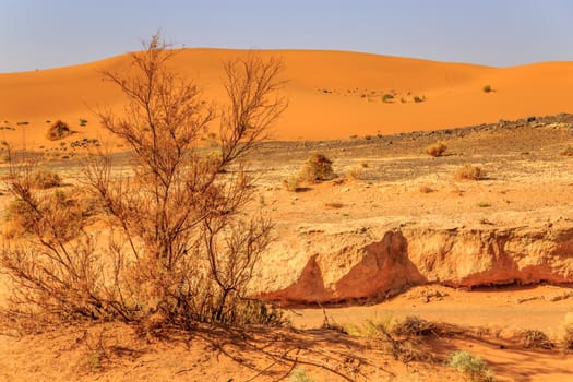 Beautiful Moroccan Mountain landscape with dry shrubs in foreground