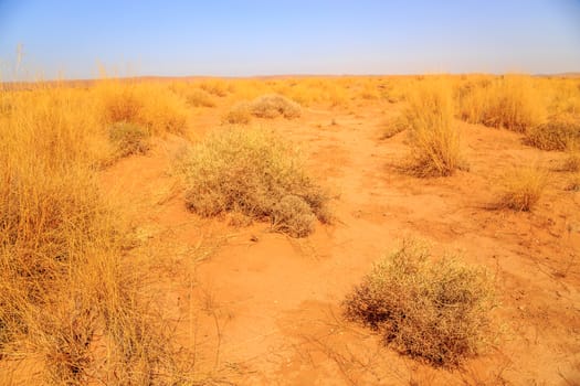 Beautiful Moroccan Mountain landscape with dry shrubs in foreground