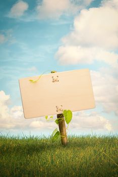 Blank wooden sign and natural background with grass and blue sky with clouds , Nature information concept, vertical image.