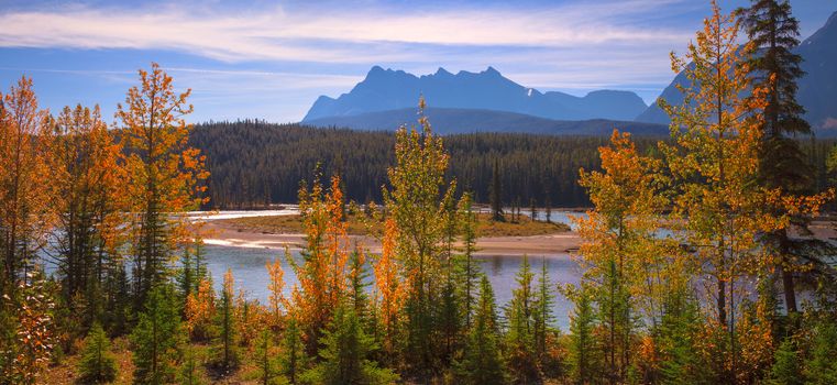 The Bow river is a river that runs along the icefields parkway in Banff, Albert Canada.