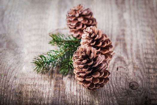 Natural wooden background with pine cones  and branch