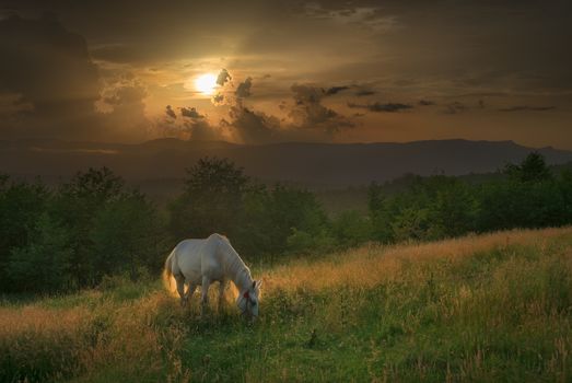 You can witness this scenery if you dine with shepherds in the carpathians.